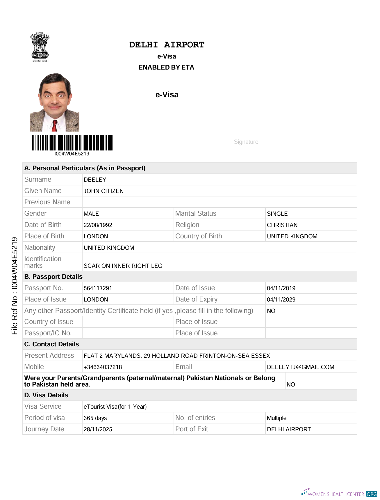 Download India e visa template in Word and PDF formats, version 2 Photoshop template